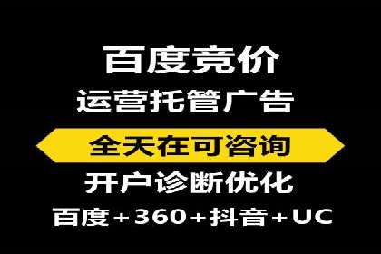 百度企业级服务推广的全面解决方案